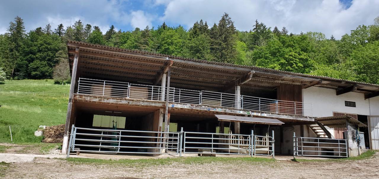 Pension chevaux - Ferme sur le Rang - Goumois (Suisse)