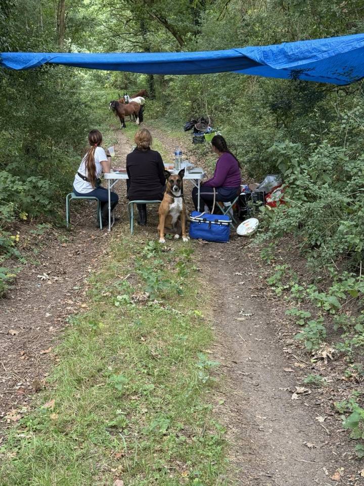 Balades et randonnées à cheval 