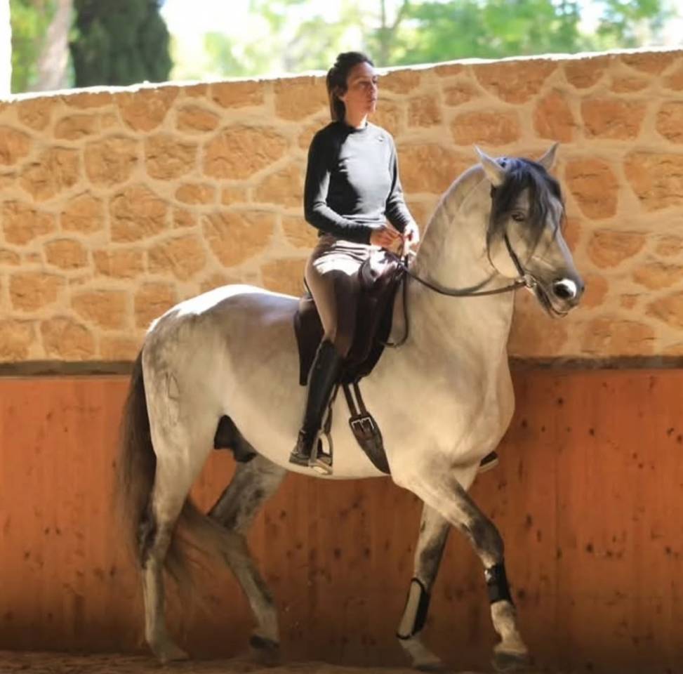 Equitation en Conscience - STAGES ET ACCOMPAGNEMENTS