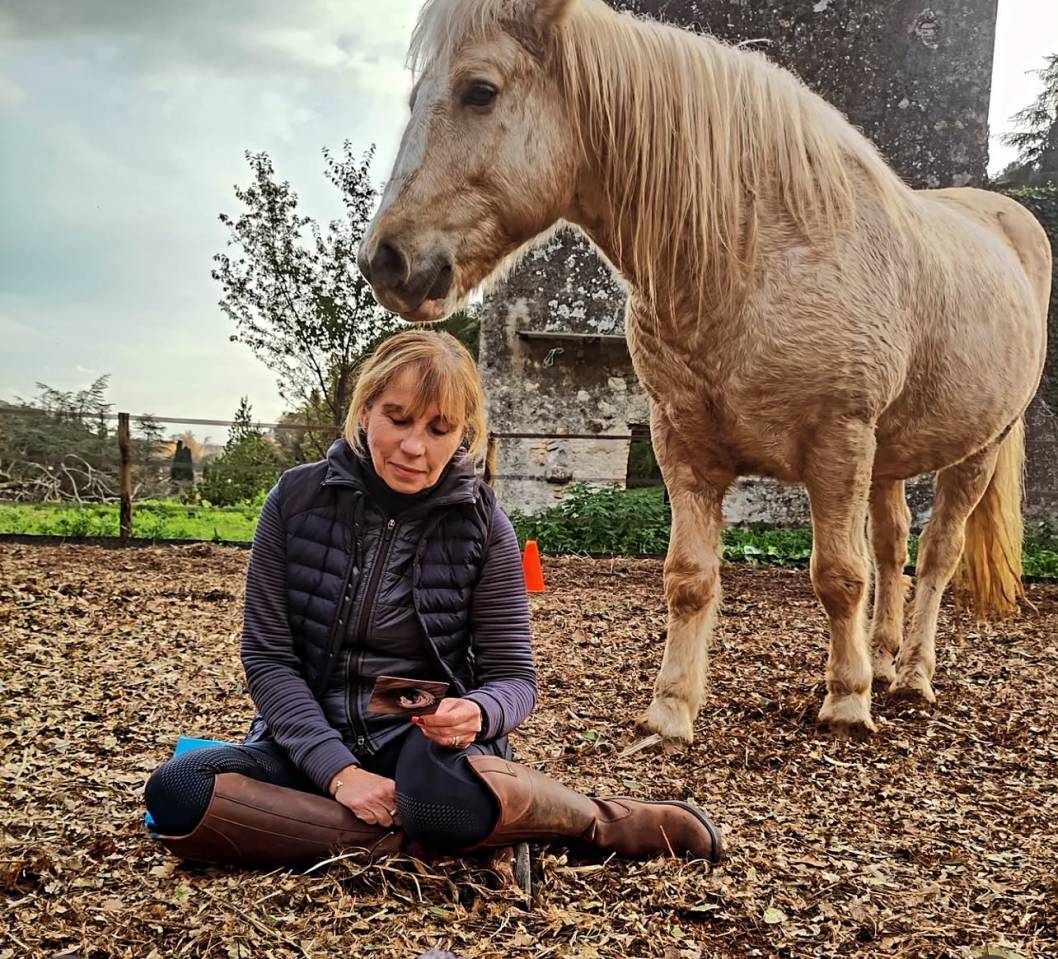 Equitation en Conscience - STAGES ET ACCOMPAGNEMENTS