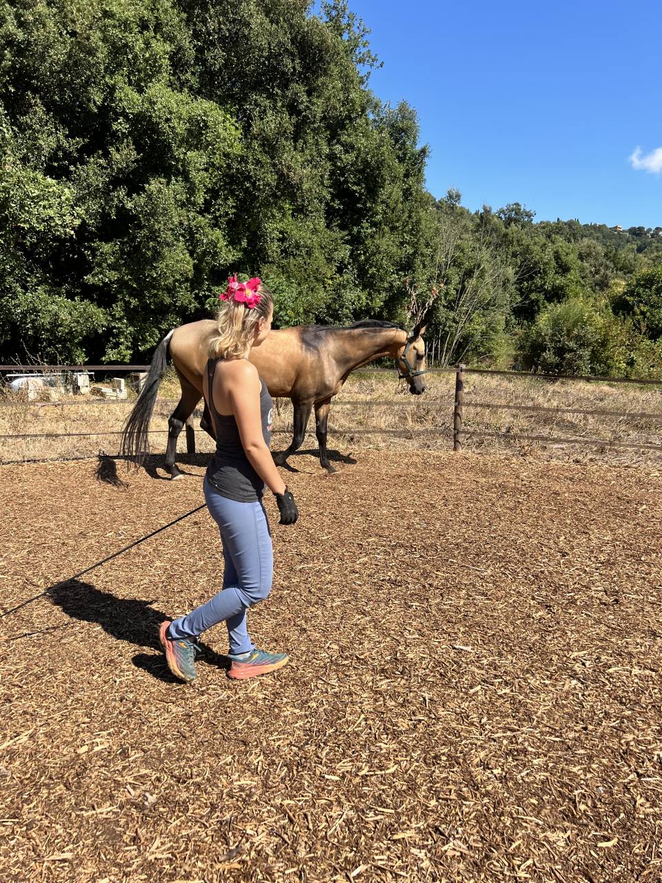 Equitation en Conscience - STAGES ET ACCOMPAGNEMENTS