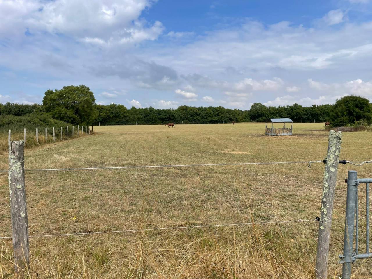 Propriété équestre à 10 min de Chef-Boutonne (79) 11 ha
