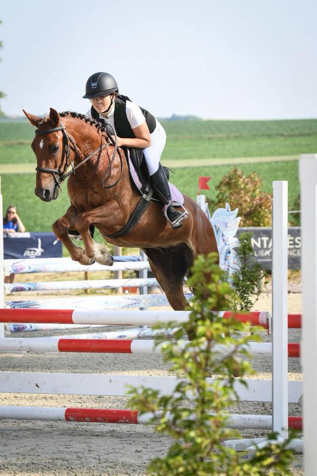 Locksley, poney D de 4 ans