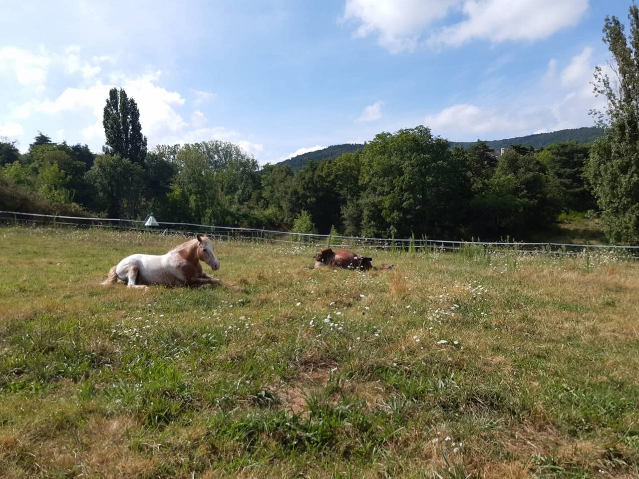 Etape cavali&egrave;re en Ard&egrave;che verte 