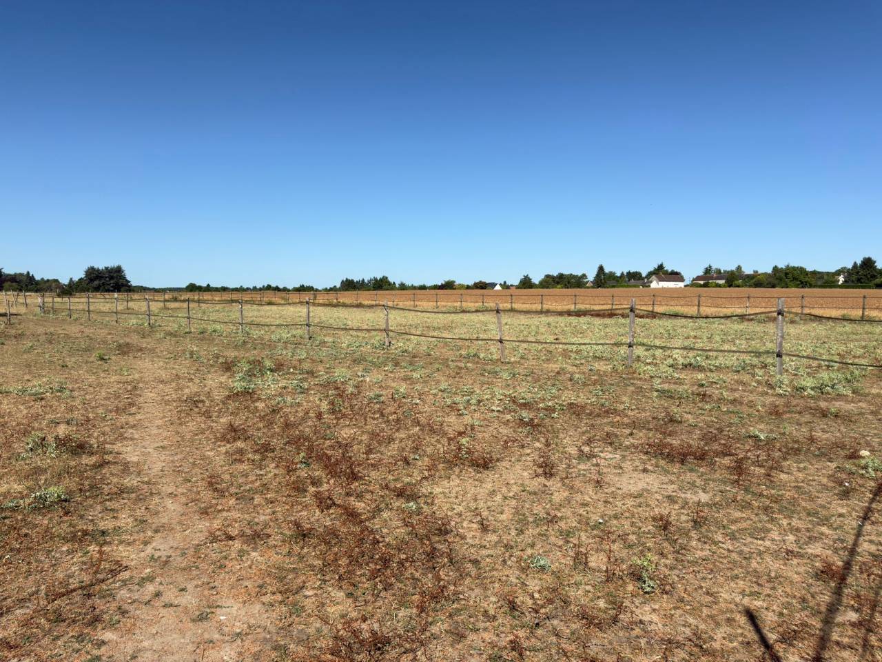 Propriété équestre sur 1,7 ha à 10 mn de BLOIS (41)