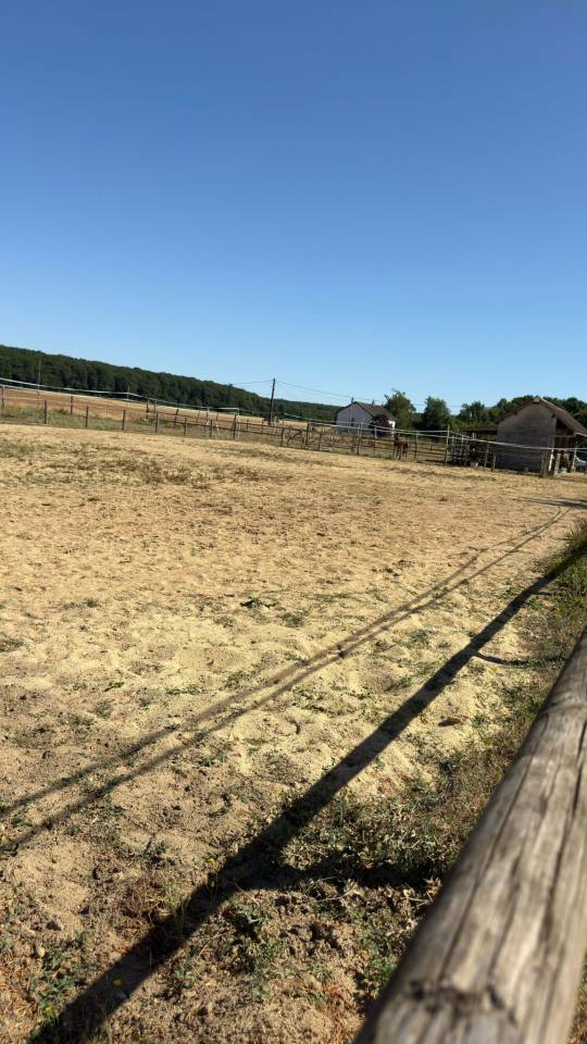 Propriété équestre sur 1,7 ha à 10 mn de BLOIS (41)