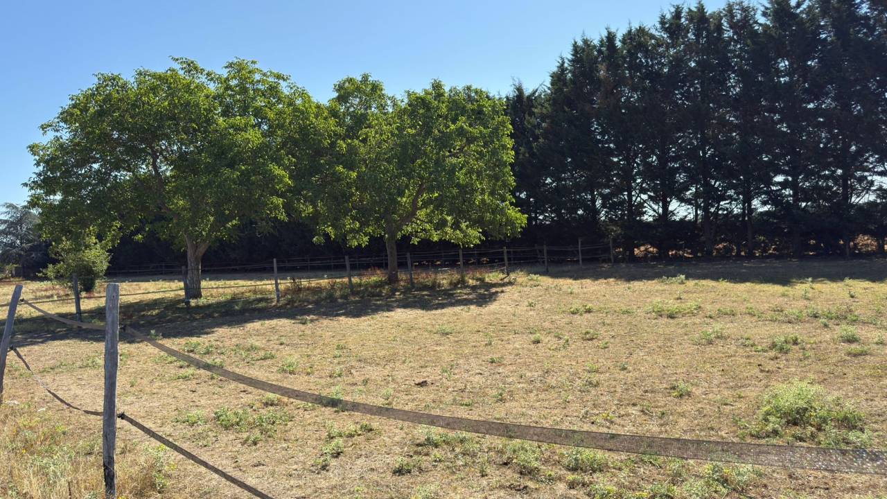 Propriété équestre sur 1,7 ha à 10 mn de BLOIS (41)