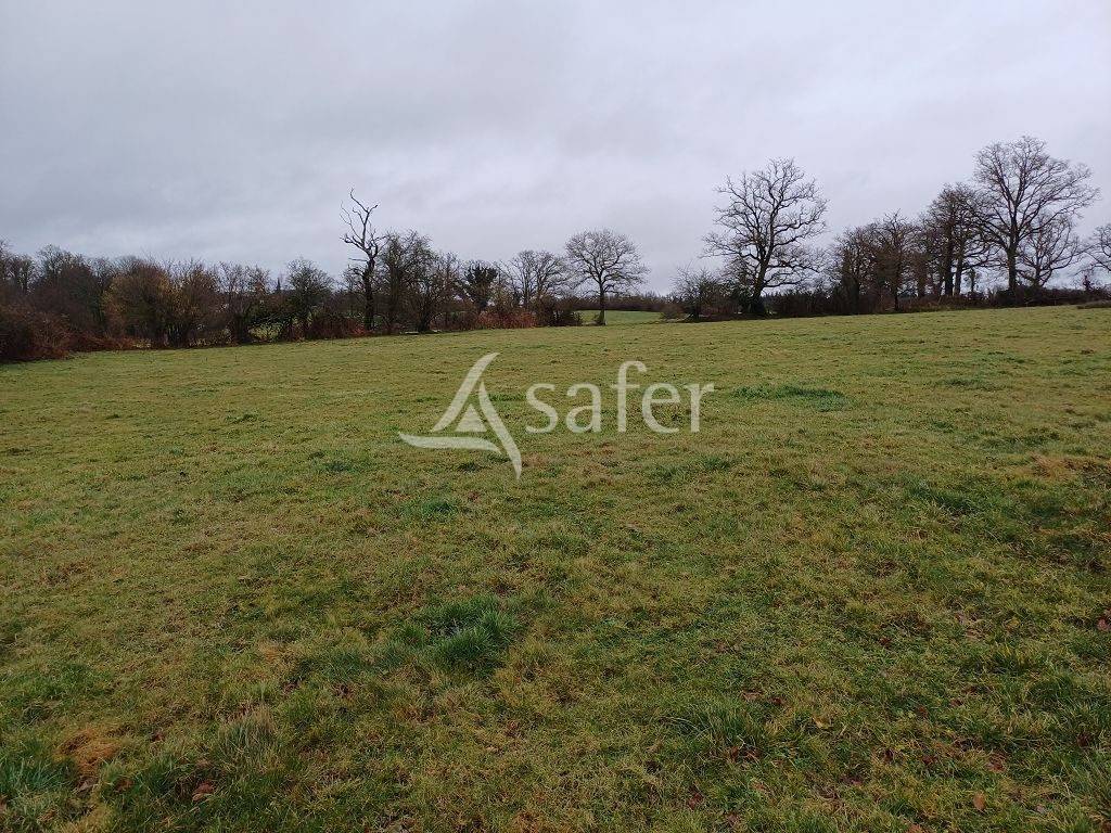 Propriété d'élevage bien groupée d'environ 105 ha