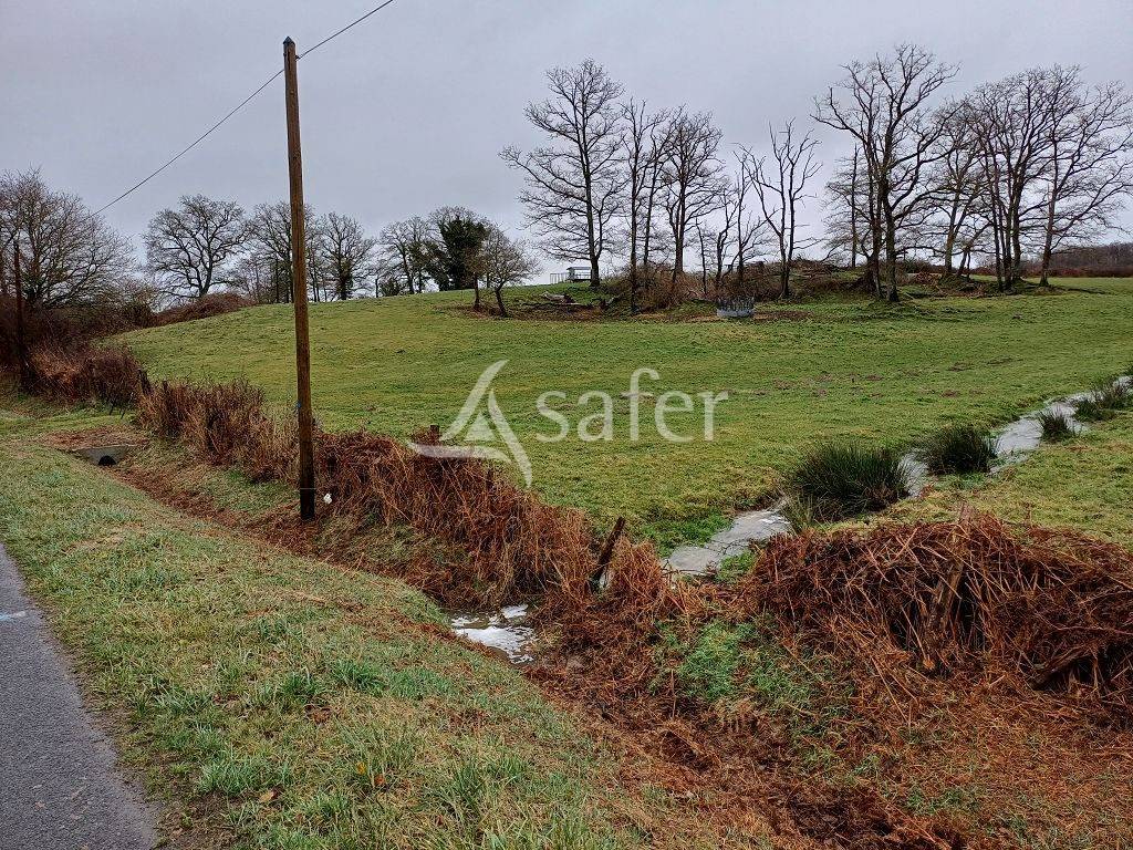 Propriété d'élevage bien groupée d'environ 105 ha
