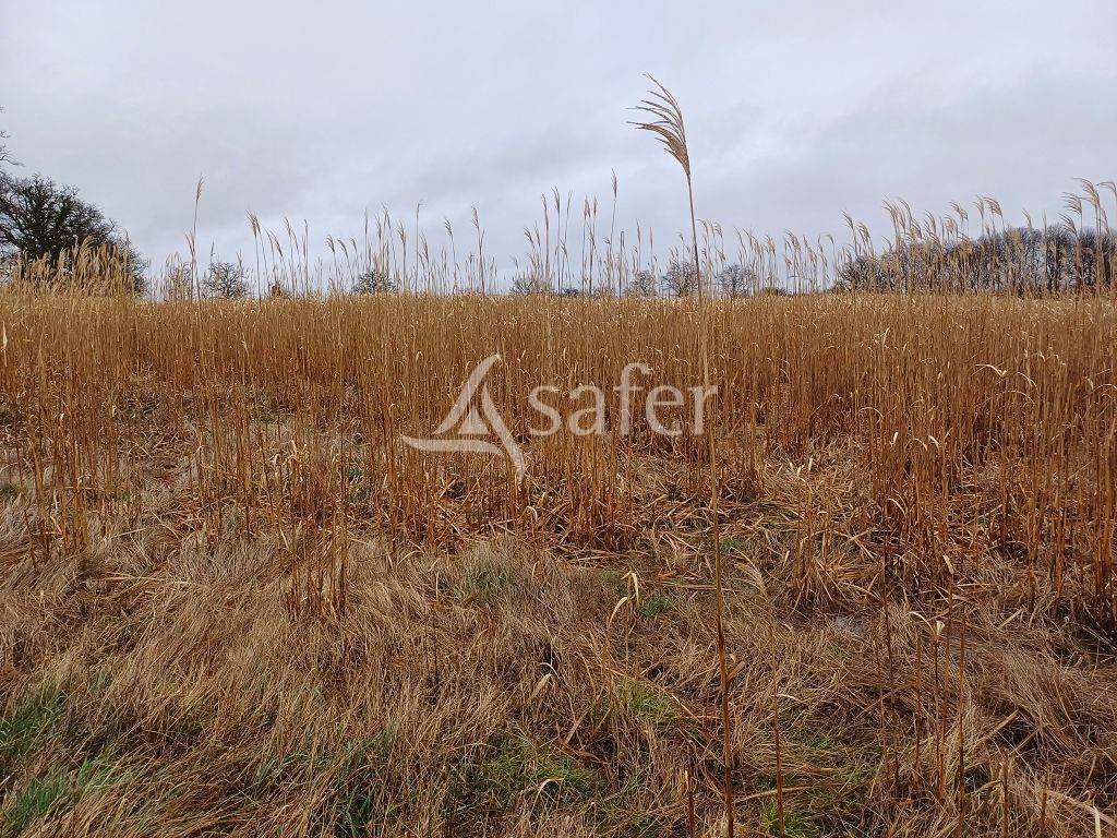 Propriété d'élevage bien groupée d'environ 105 ha