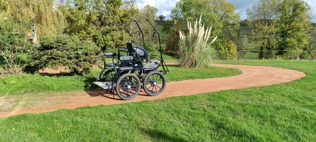 voiture d'attelage  GLINKOWSKI modèle NS 22295 1 cheval