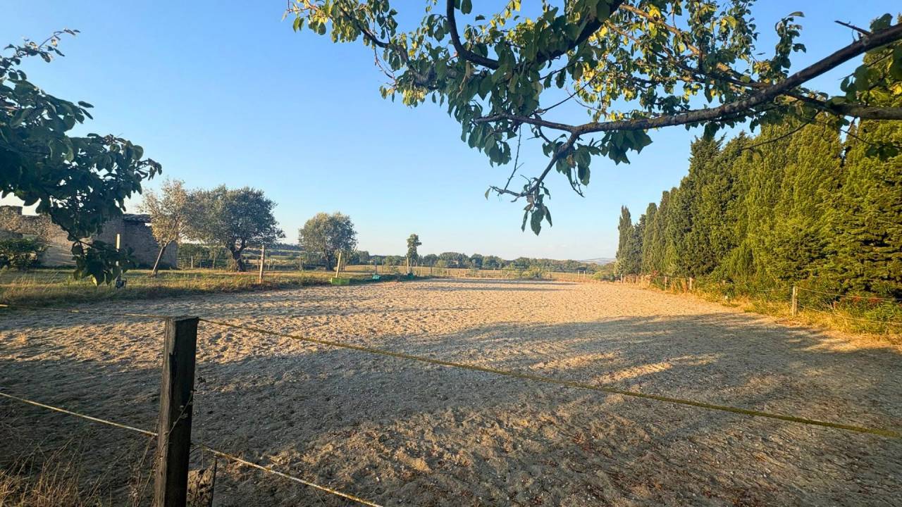 Domaine d’exception au cœur du Lauragais (11)