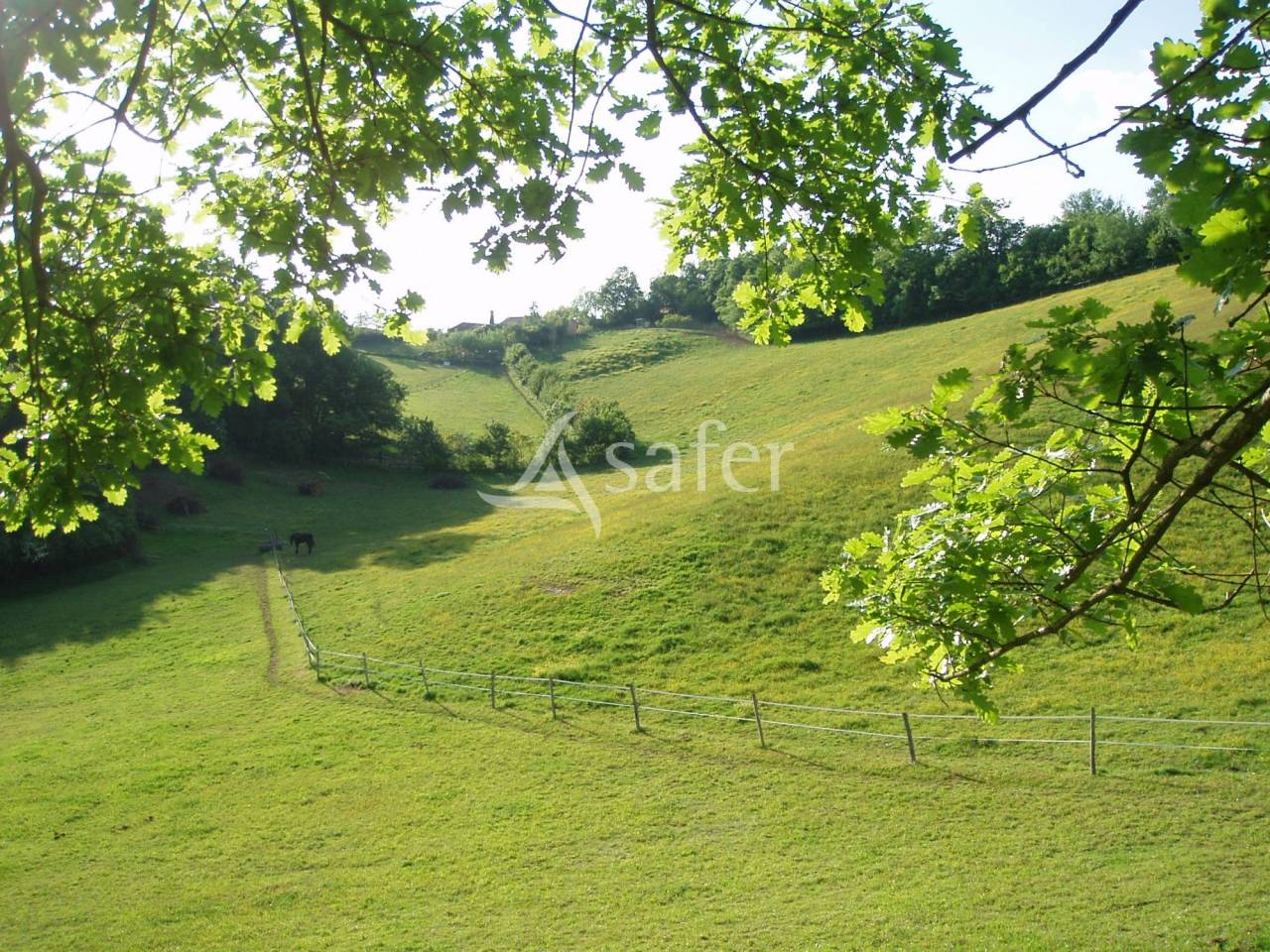 Proche d'Auch - Propriété équine de 5 ha