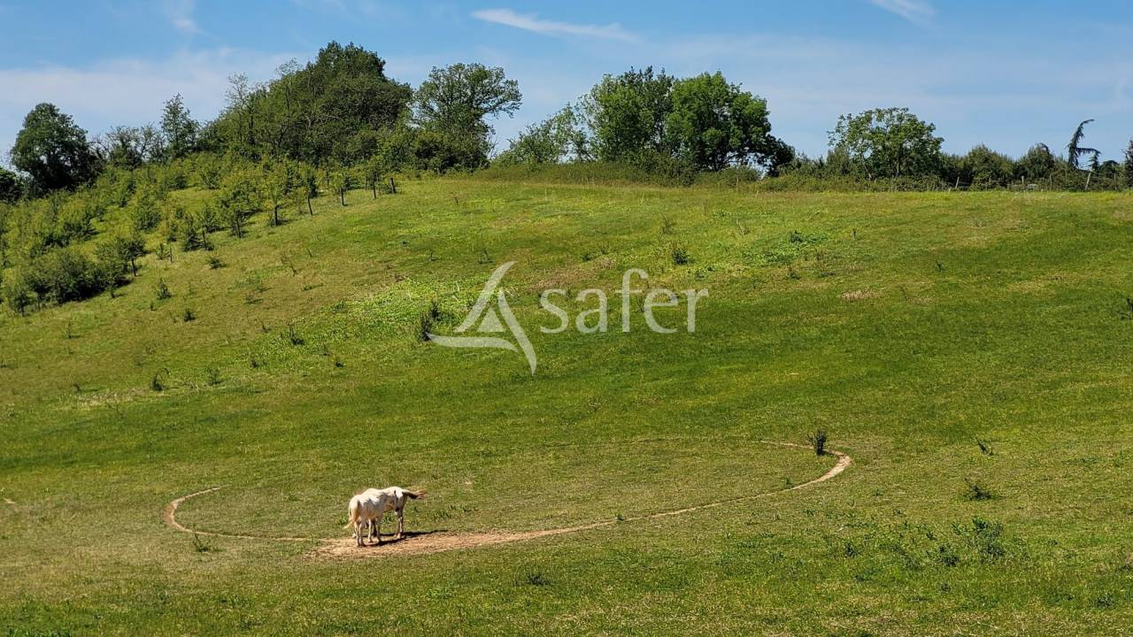 Maison 7ha Albi Castres