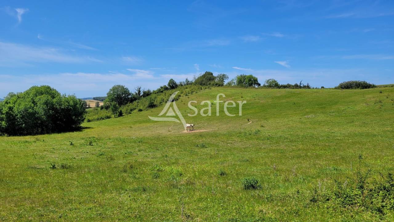 Maison 7ha Albi Castres