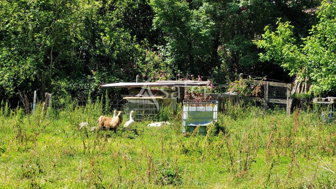 Maison 7ha Albi Castres