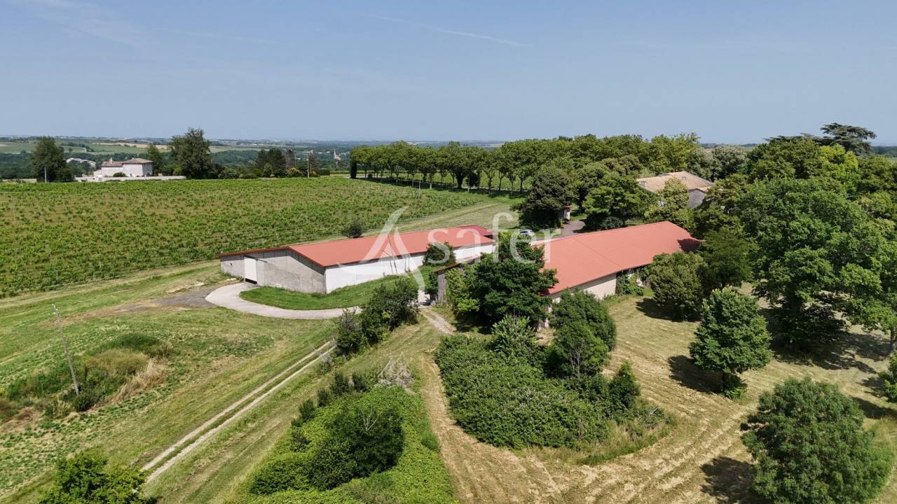 Domaine d'Exception 33ha Triangle d'Or  Potentiel Événe