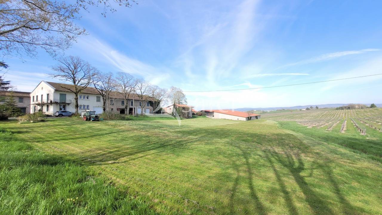 Domaine d'Exception 33ha Triangle d'Or  Potentiel Événe