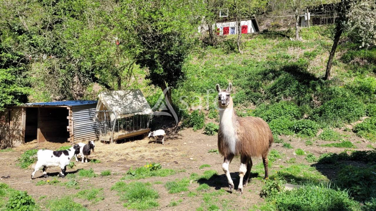 Propri&eacute;t&eacute; id&eacute;al accueil groupes, &eacute;v&eacute;nementiel, g&icirc;tes, cham