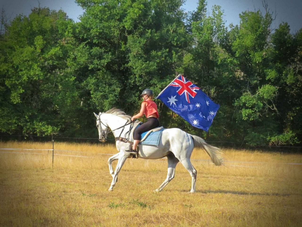 La Méthodes Équine Impériale vous présente MrElegance!