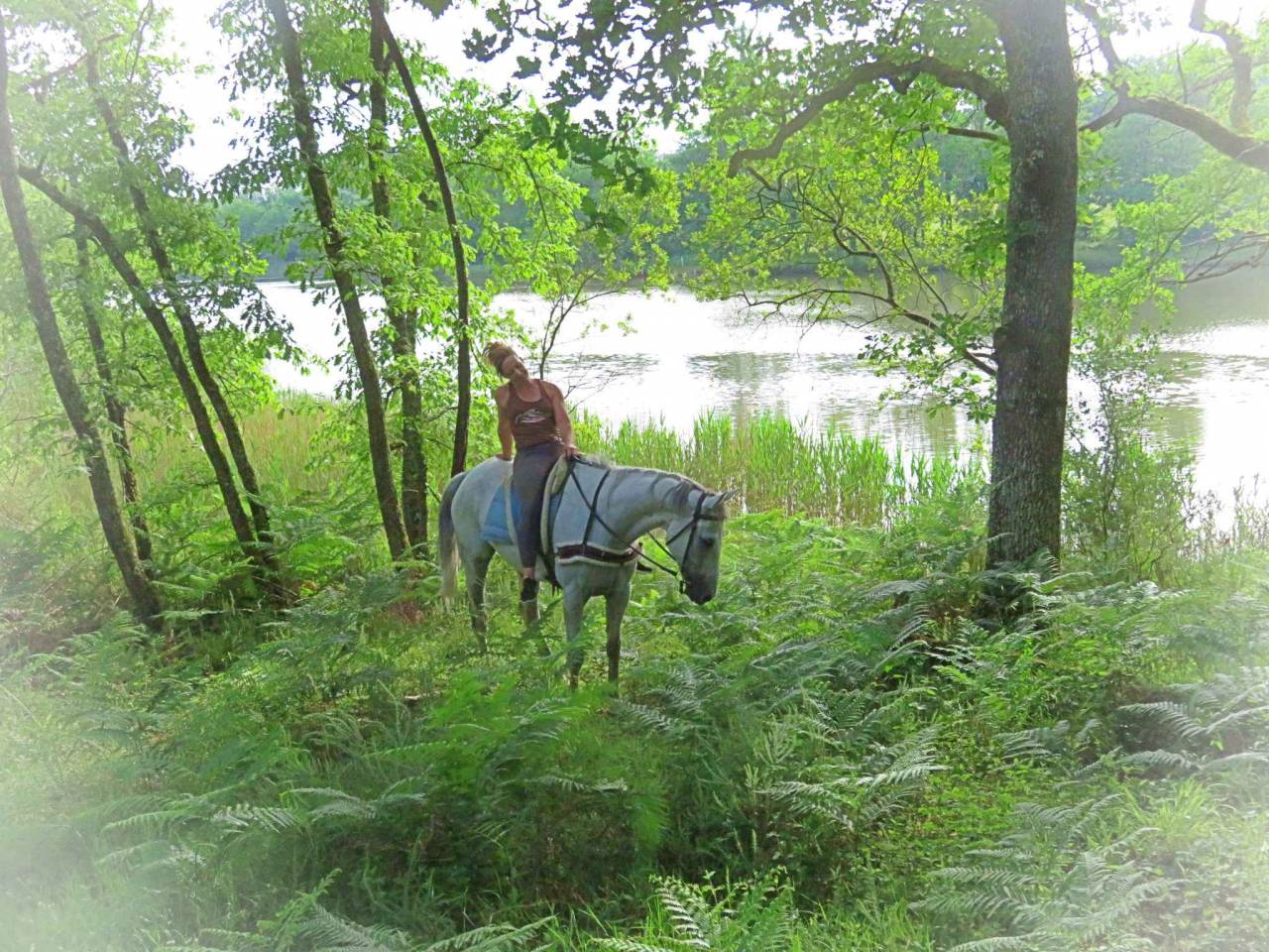 La Méthodes Équine Impériale vous présente MrElegance!
