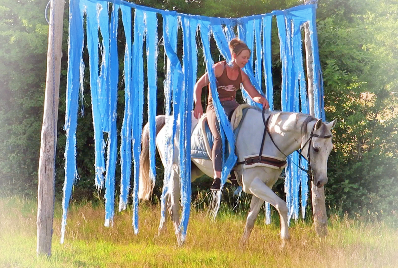 La Méthodes Équine Impériale vous présente MrElegance!