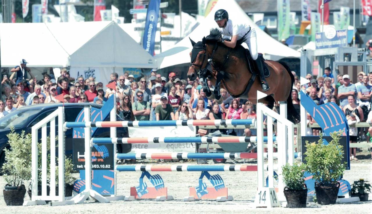 Hongre 13 ans  - SBS - 1M76 - CSO 125/135 