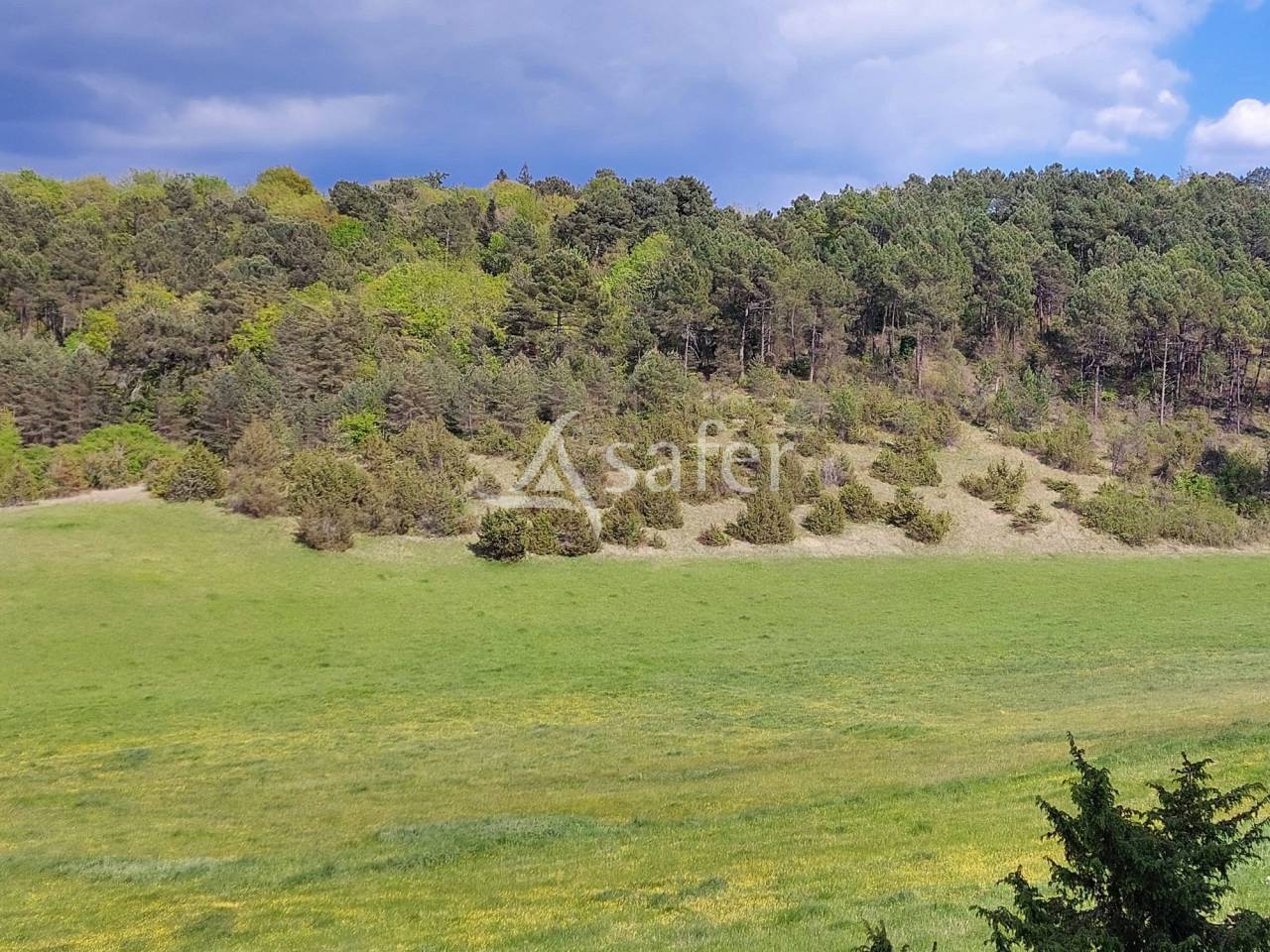 Très belle propriété en pierre avec 4 maisons, sur 11ha, proc
