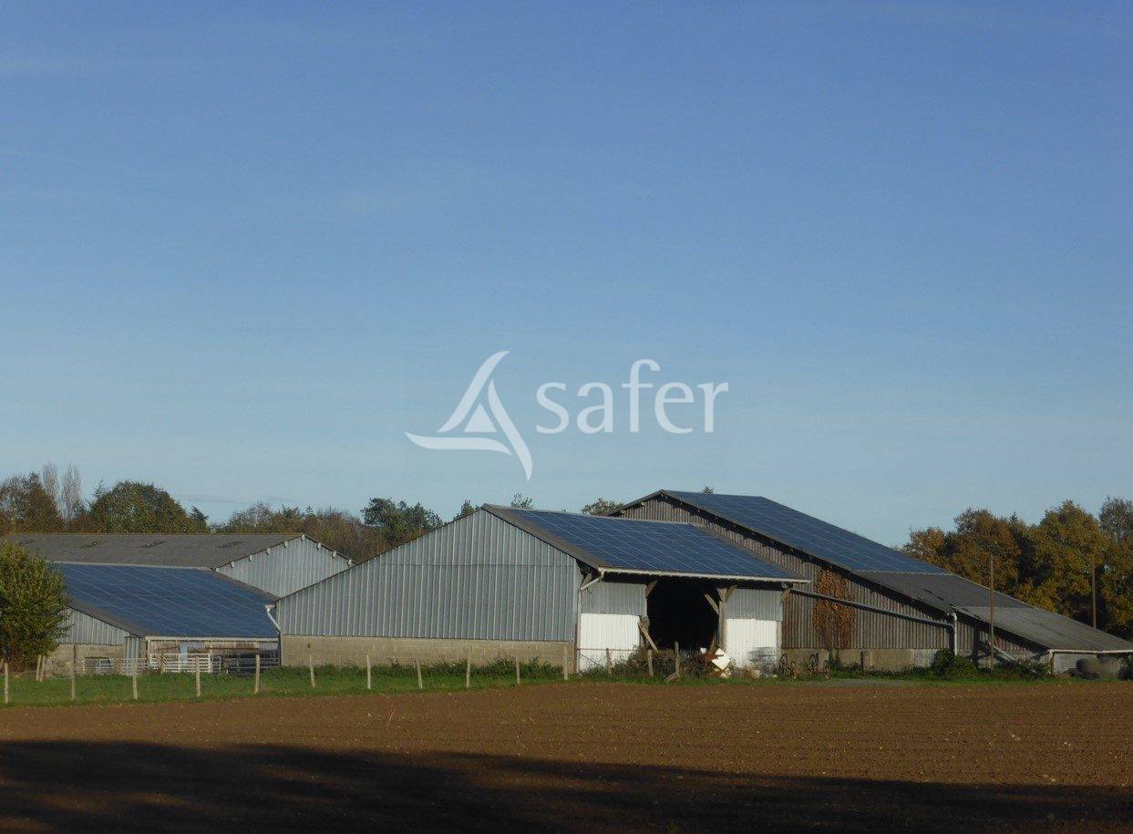 Ferme d'élevage, ferme des possibles