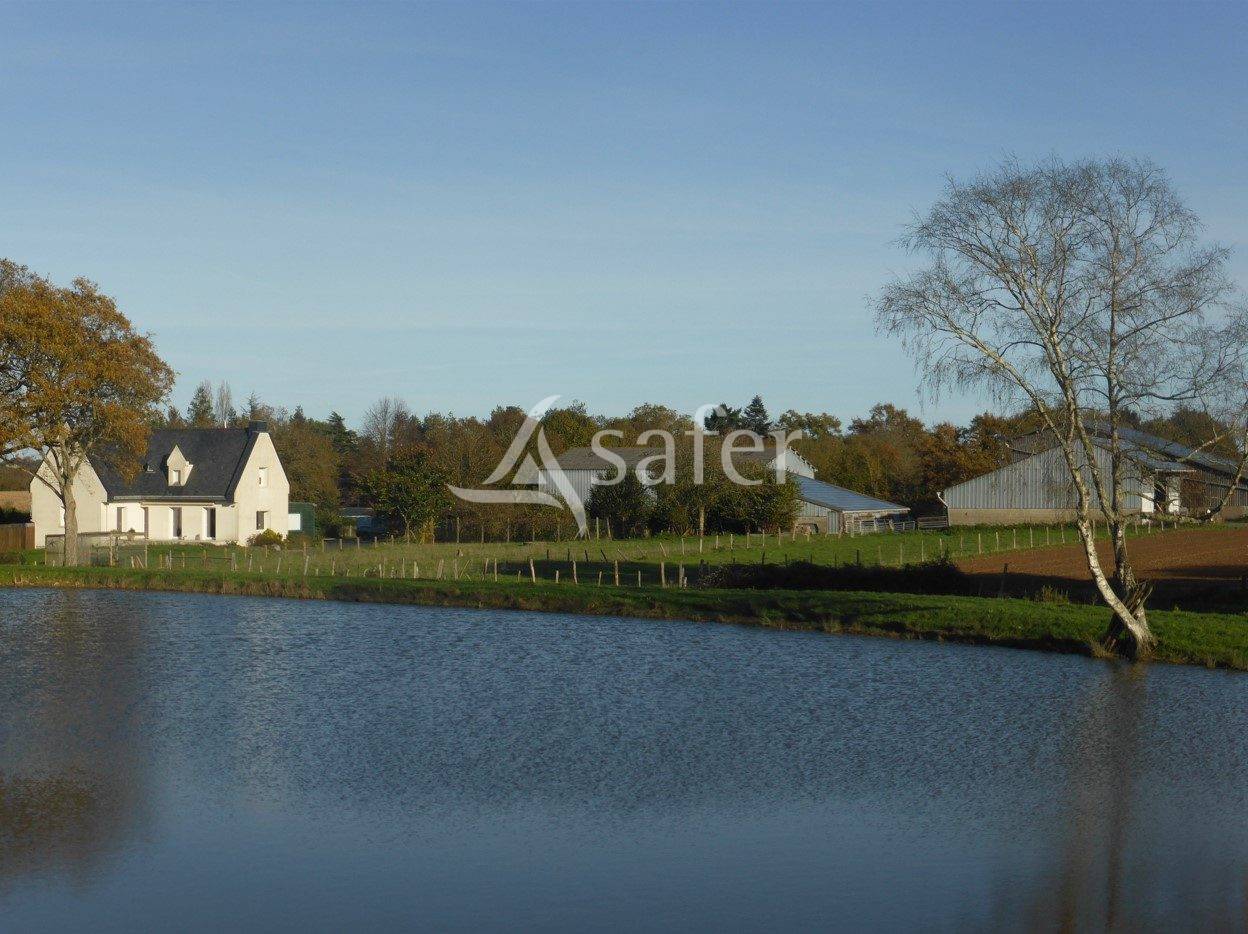 Ferme d'élevage, ferme des possibles