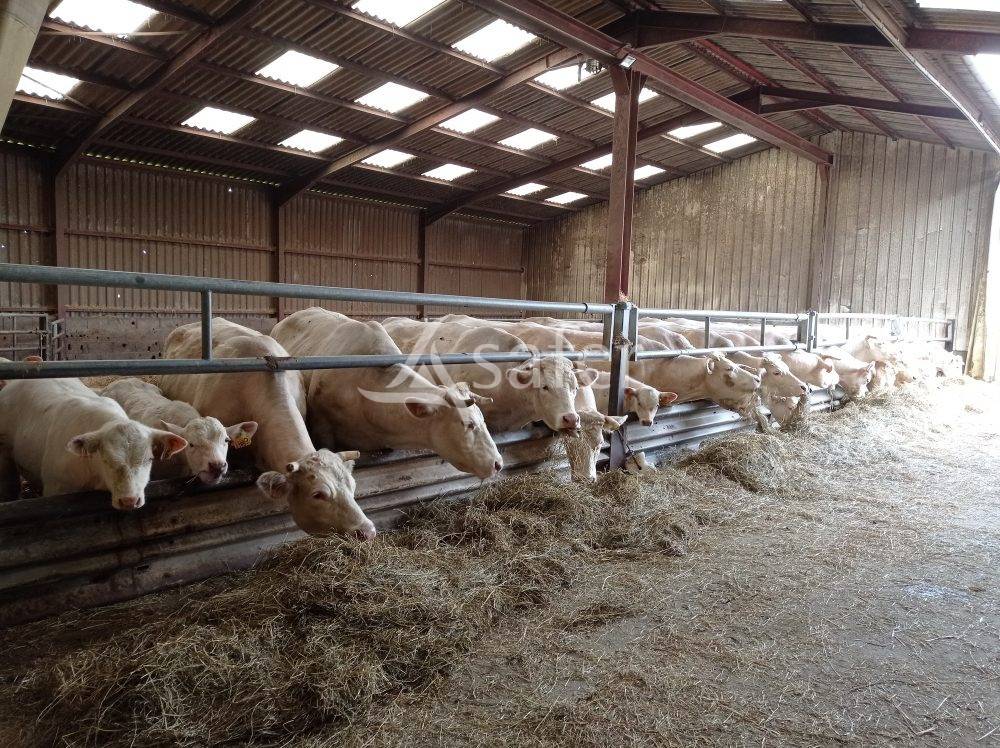 Domaine agricole et forestier - Idéal équitation d'extérieur