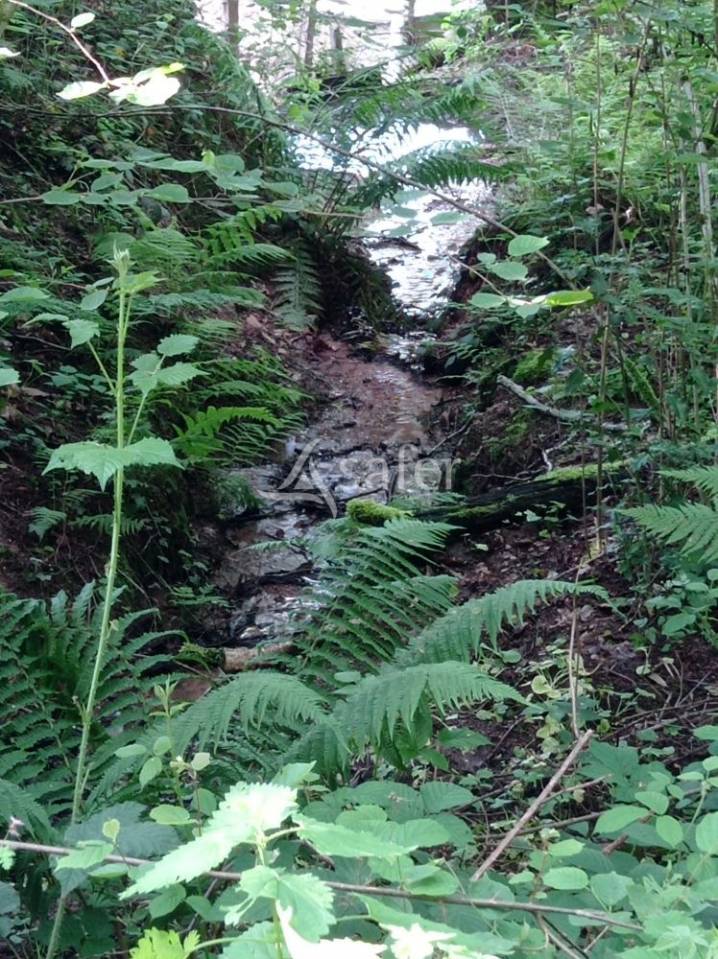 Domaine agricole et forestier - Idéal équitation d'extérieur