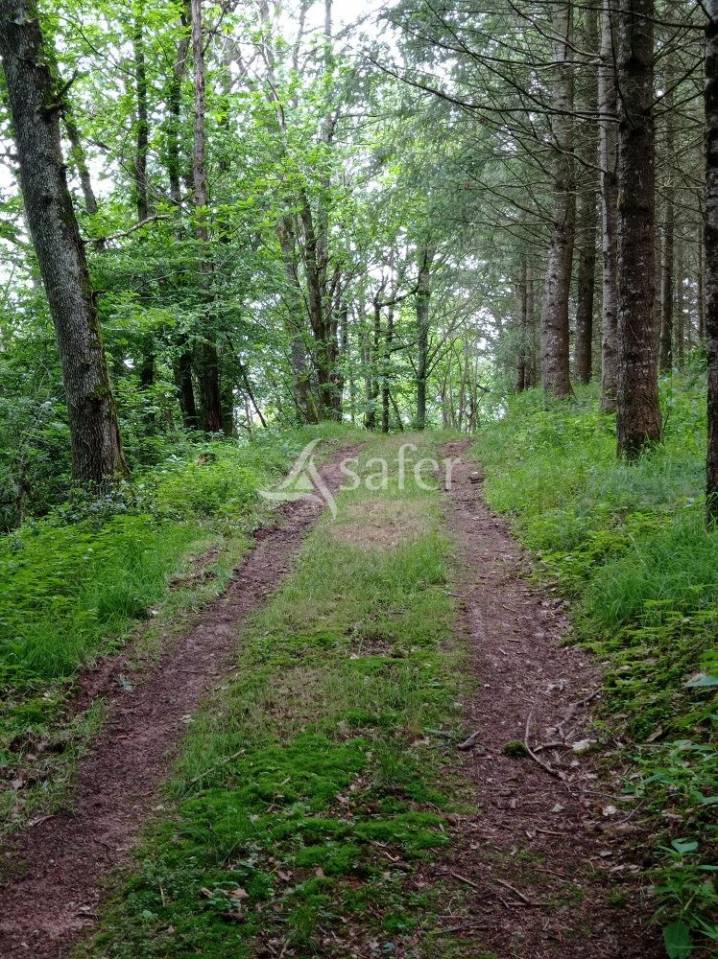 Domaine agricole et forestier - Idéal équitation d'extérieur