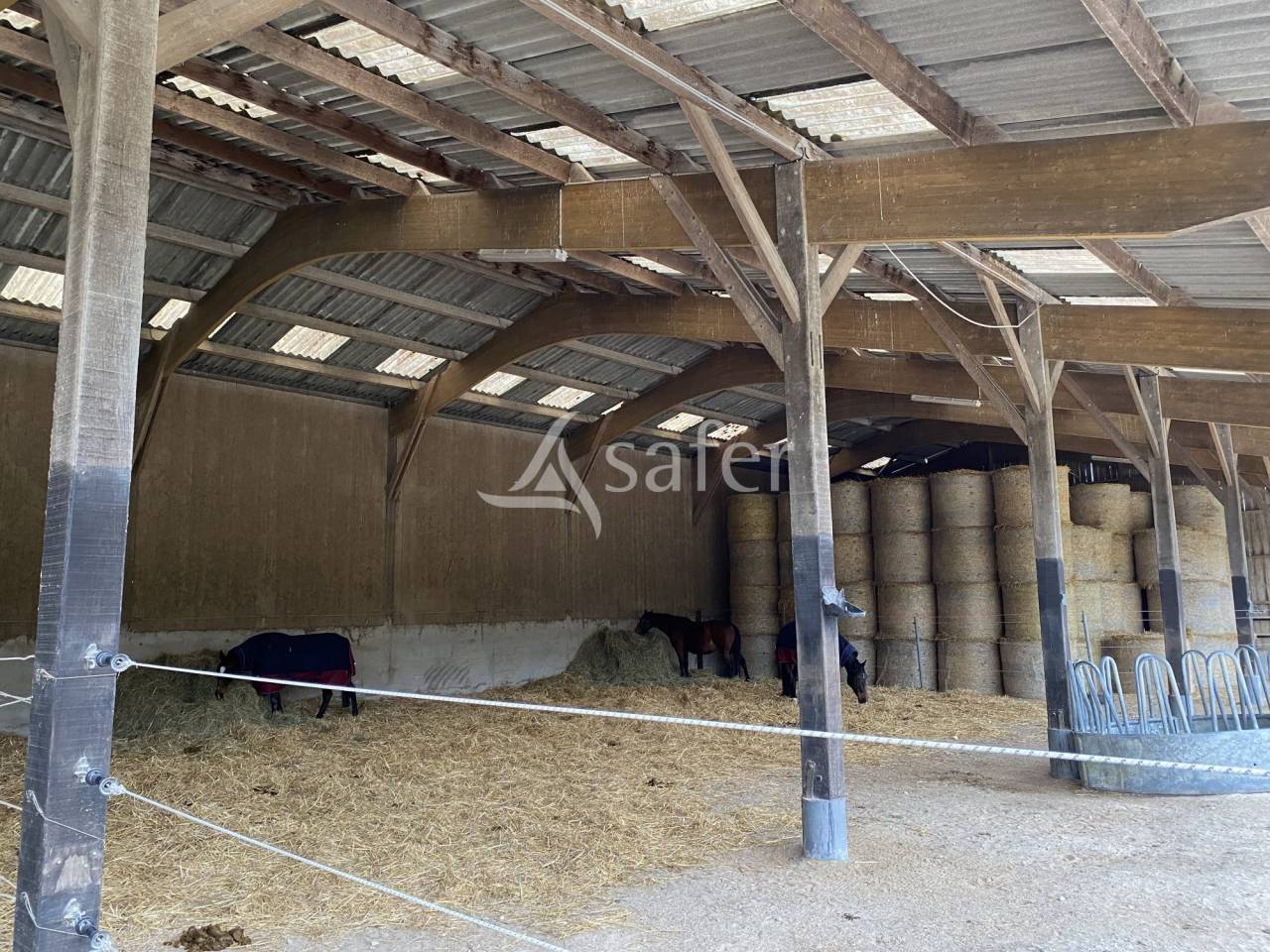 Haras d'&eacute;levage - Centre d'entrainement