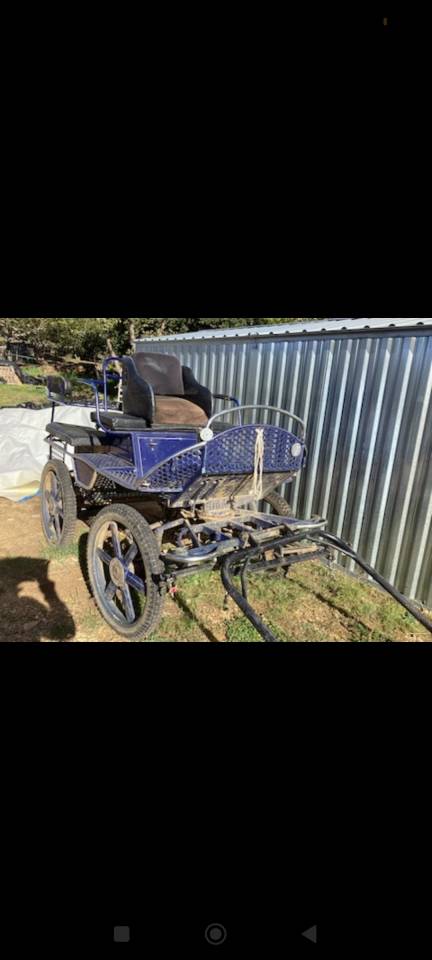 Voiture attelage marathon 