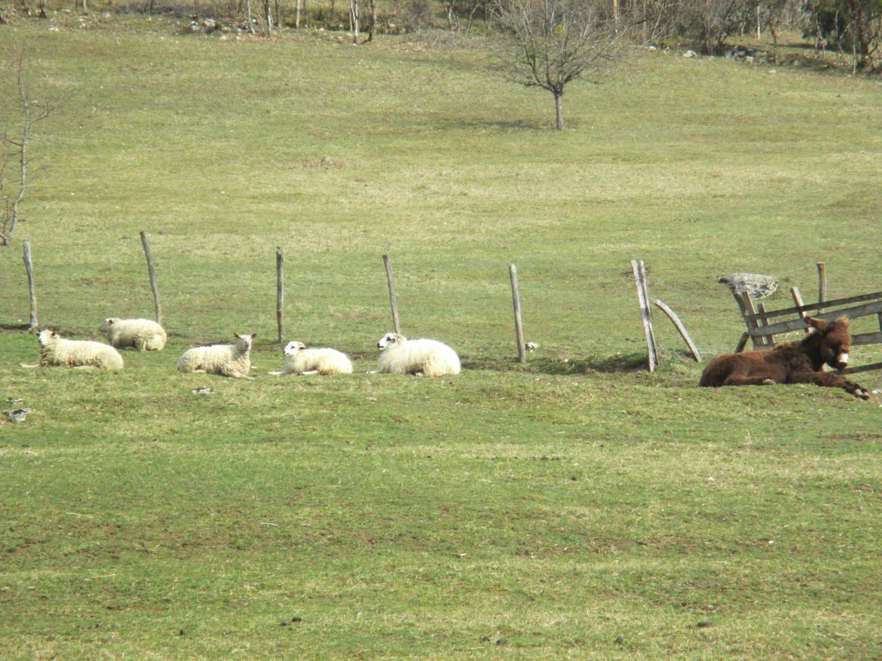 G&icirc;te L'Evidence