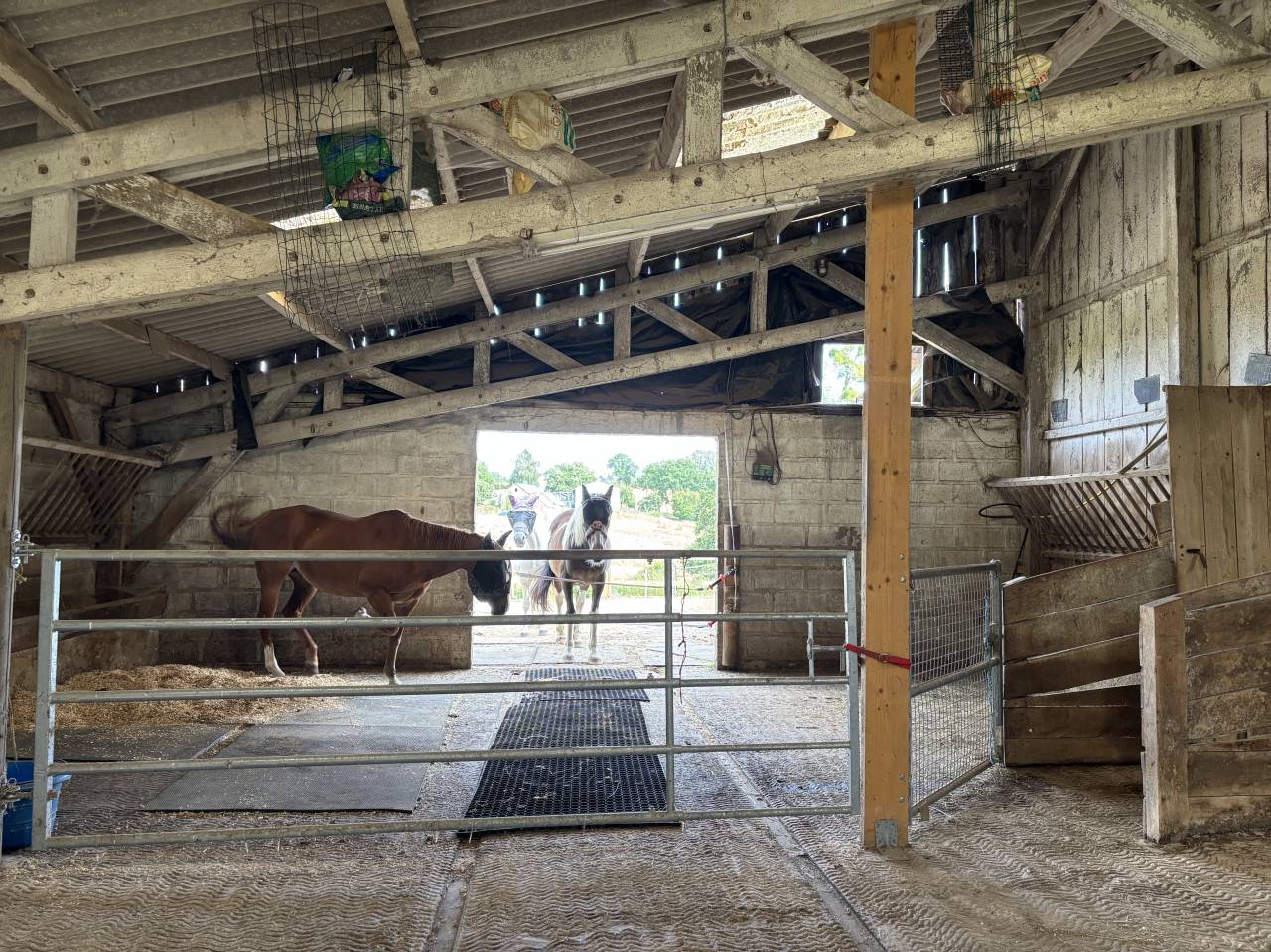 Fermette avec 2 gites, 2.2 ha, 53160 proche Mayenne