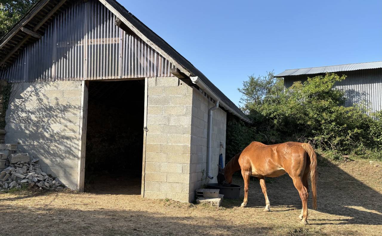 Fermette avec 2 gites, 2.2 ha, 53160 proche Mayenne