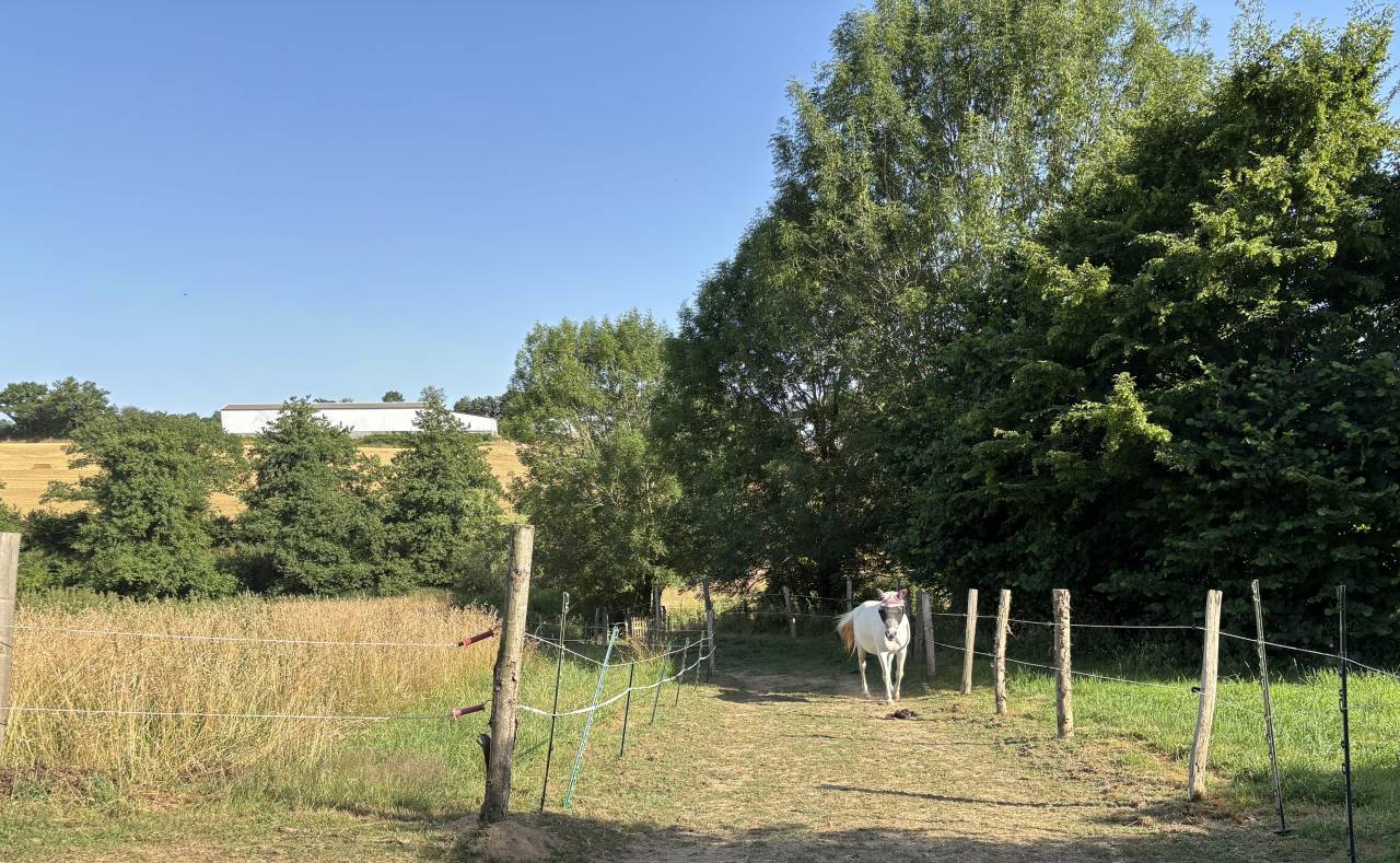 Fermette avec 2 gites, 2.2 ha, 53160 proche Mayenne