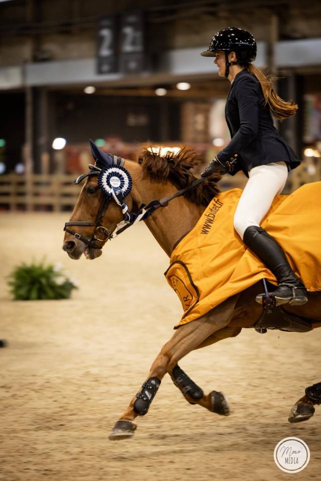 Poney d’exception disponible à la vente. 