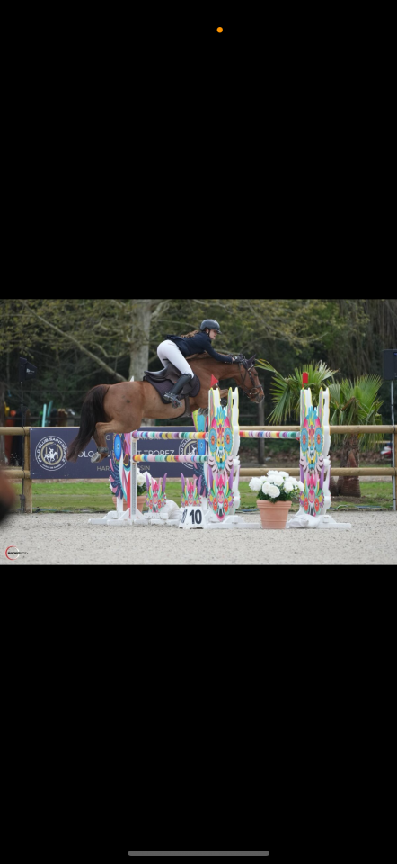 Poney d’exception disponible à la vente. 