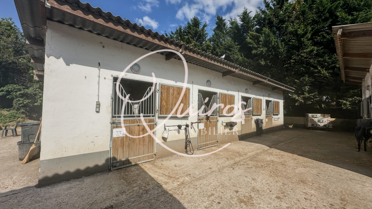 Domaine équestre fonctionnel au cœur des Yvelines