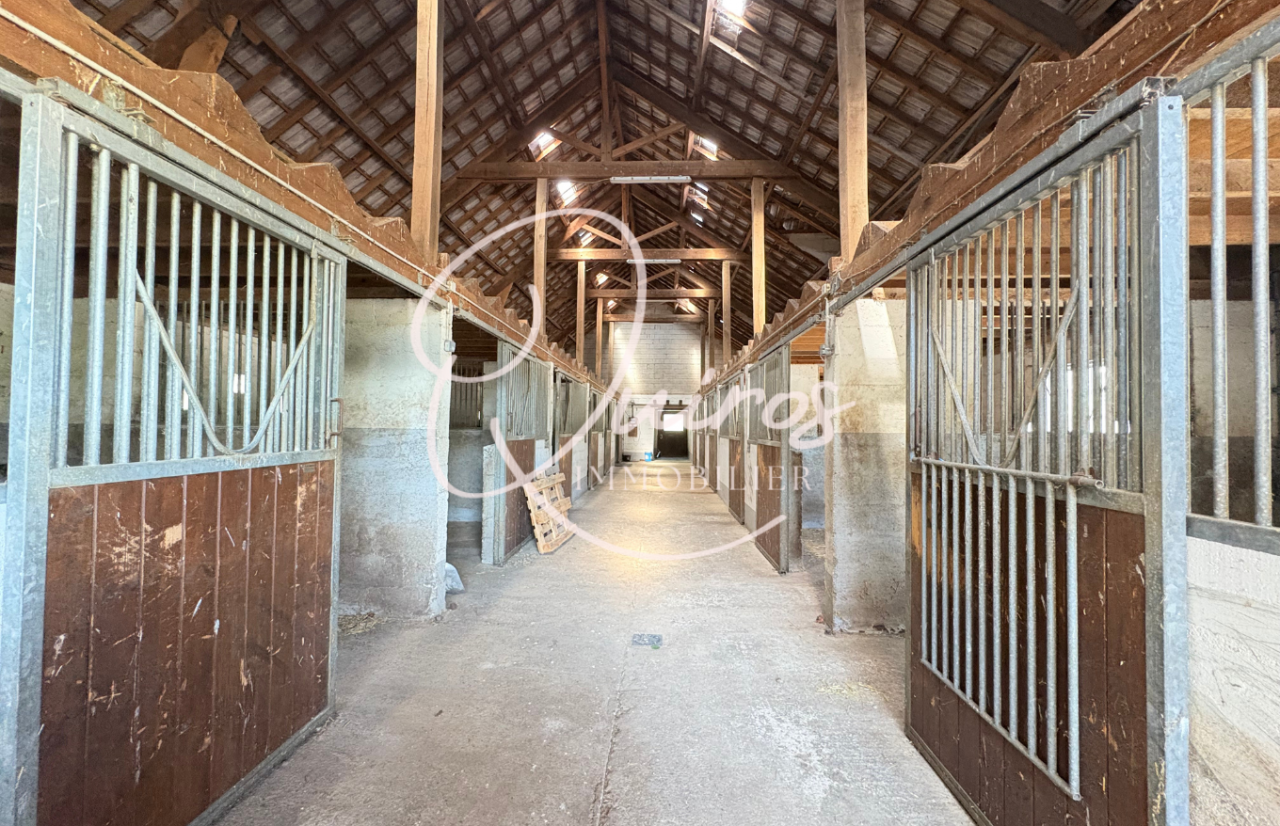 Charmante maison avec écurie et carrière – Fontaineblea