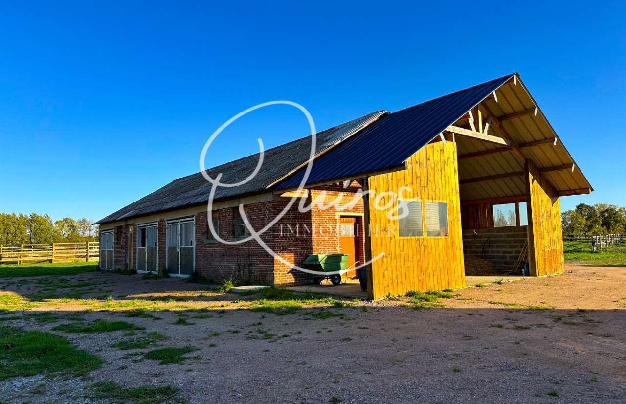 Propri&eacute;t&eacute; &eacute;questre &ndash; Deauville, 10,5 hectares