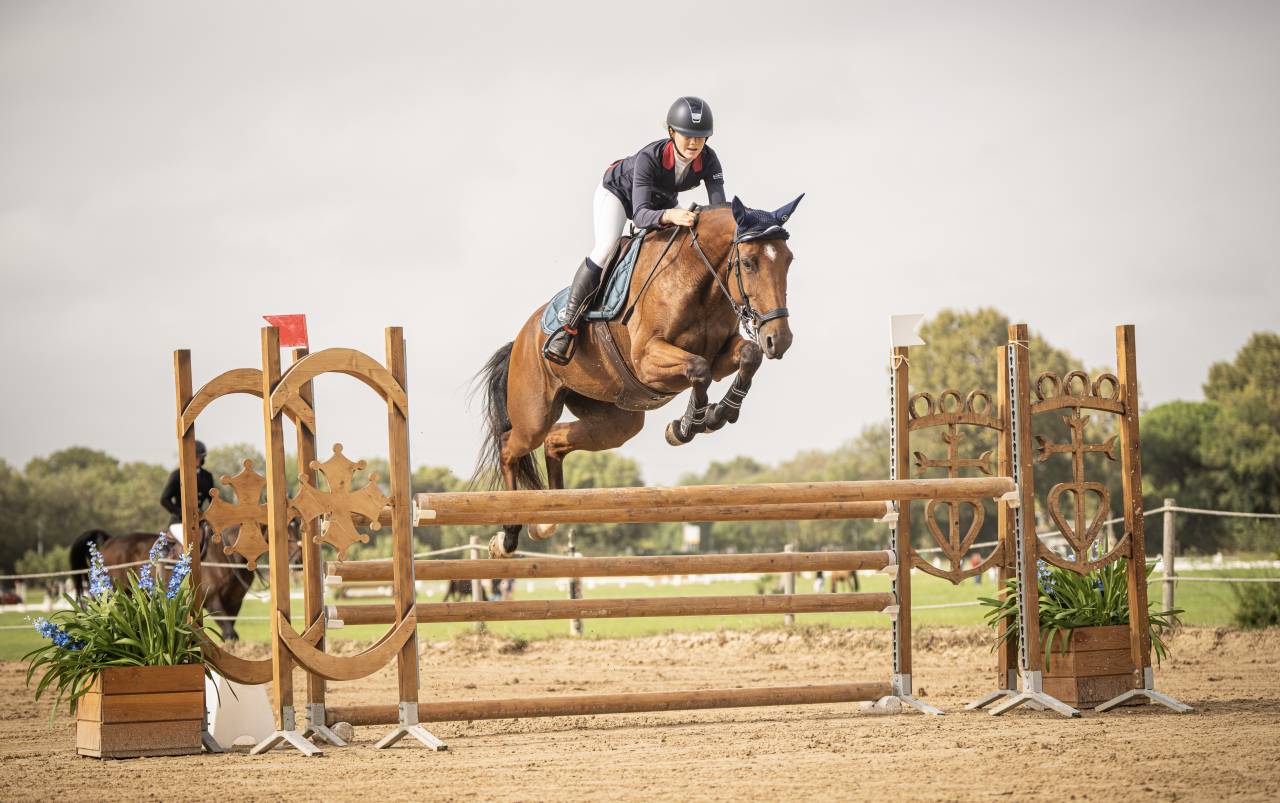 FANTASTIQUE JUMENT DE SPORT 7ANS - CSO ULTRA RESPECT