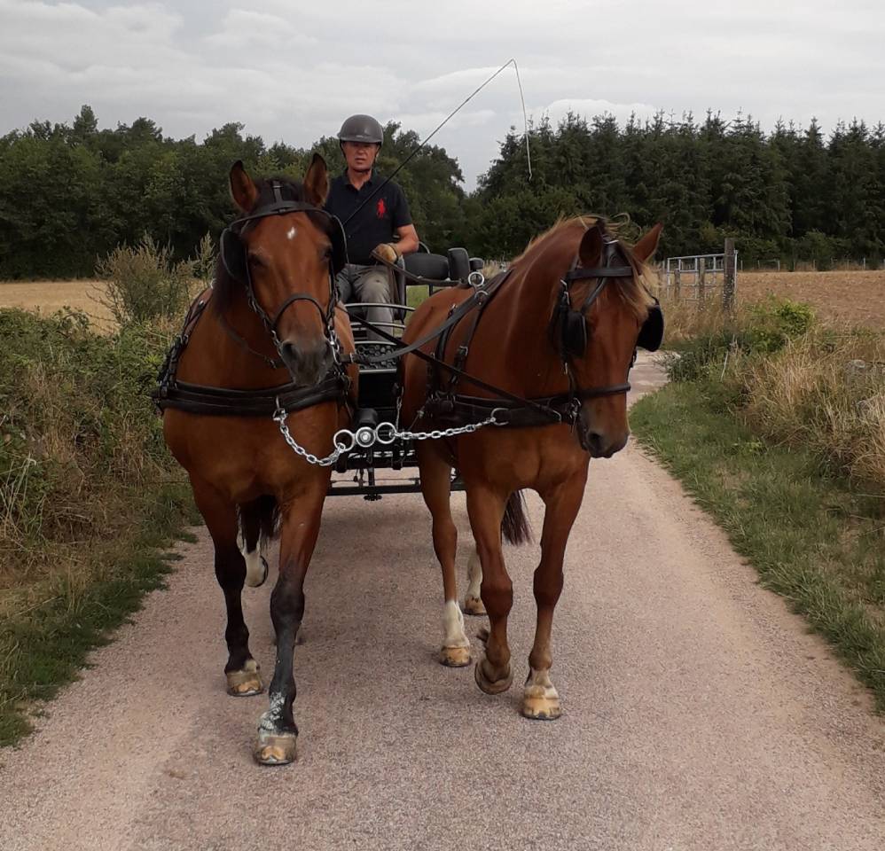Voiture attelage 4 roues Loisirs
