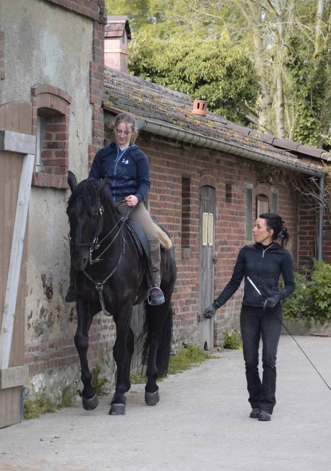 Nigra, Pur-Sang Lusitanien 