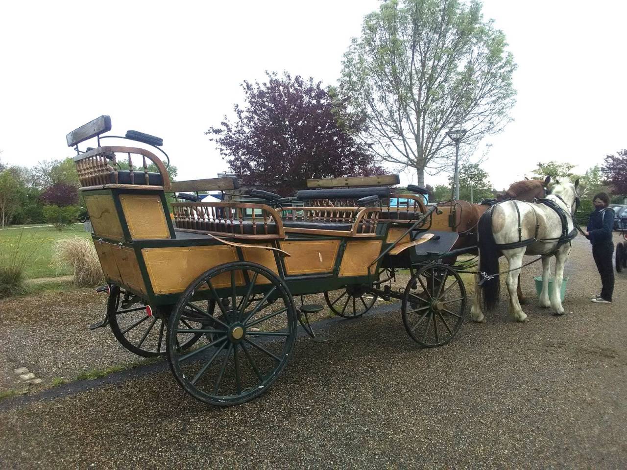 Calèche 11 / 13 places adultes