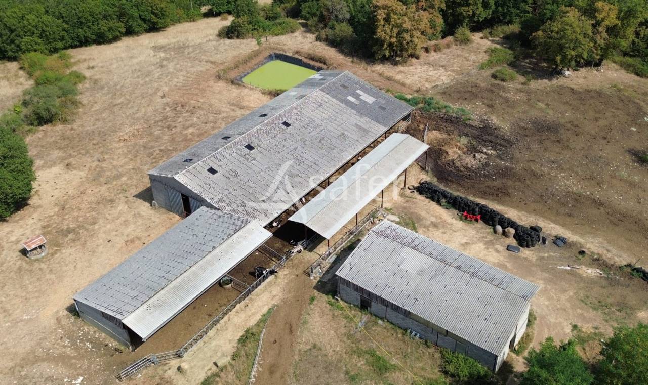 Exploitation bio en bovins lait sur 54ha, proche Lalinde
