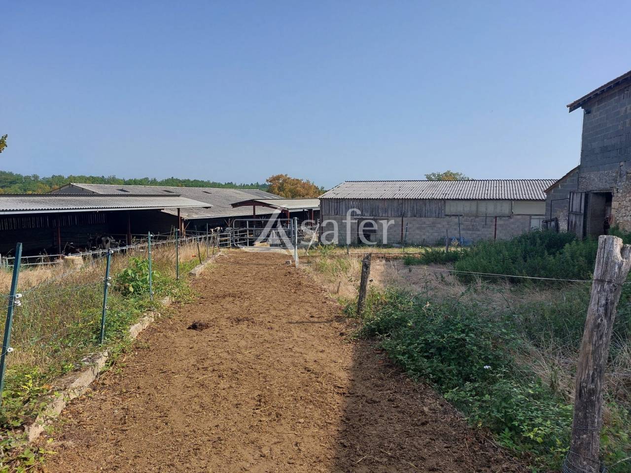 Exploitation bio en bovins lait sur 54ha, proche Lalinde